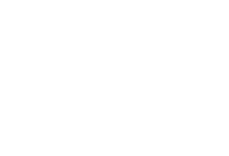 Dandelion Therapies